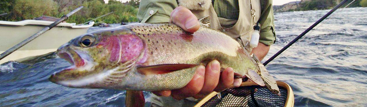 wto_Guided_Deschutes_Trout