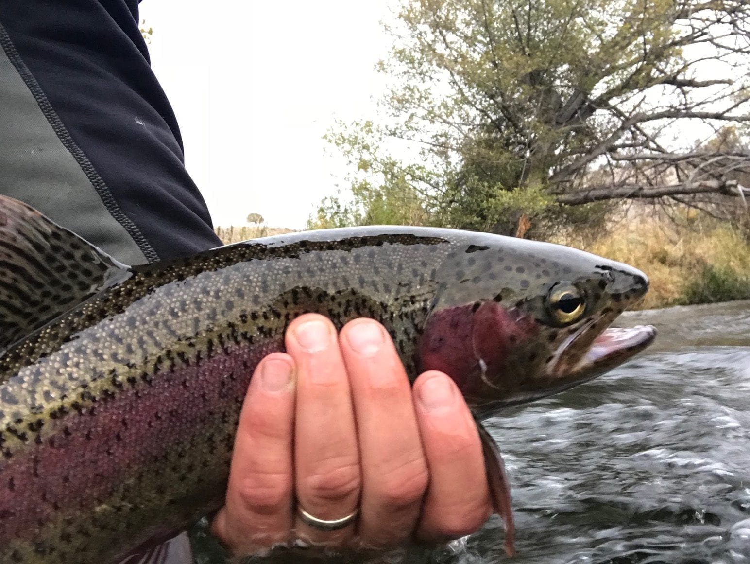 Deschutes River Fishing Report - October | Water Time Outfitters