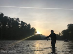 Fly Fishing The Clackamas River