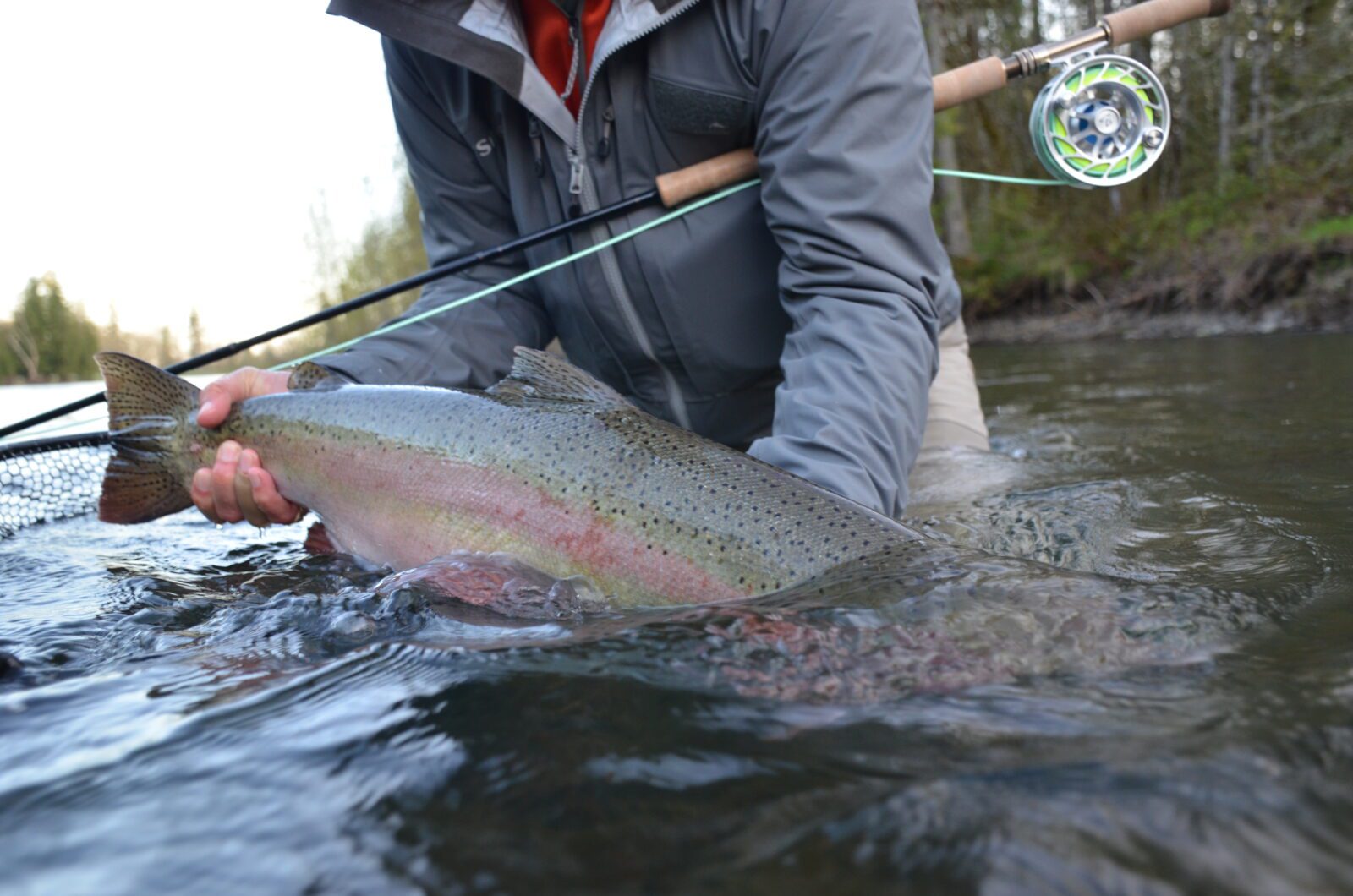 Oregon Fly Fishing Guide School - Trout - Steelhead -Salmon #1 The Best  Instruction Available