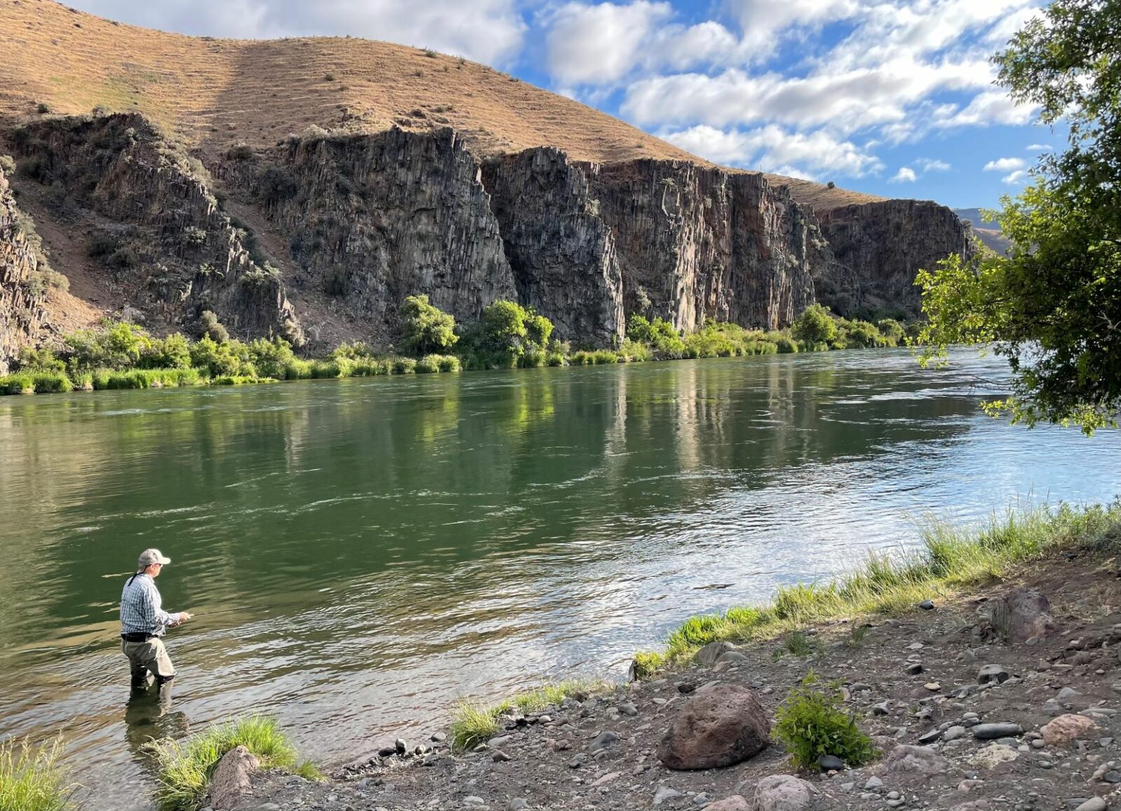 Deschutes River Guided Fly Fishing Trip for Trout our 1 Most Popular