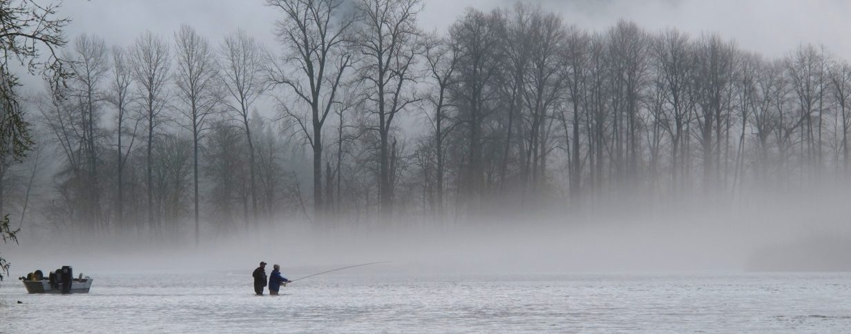 Winter Steelhead Fly Fishing Success